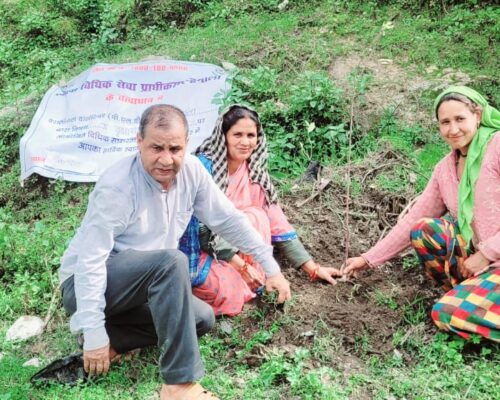 जिला विधिक सेवा प्राधिकरण एवं हिमाद समिति ने किया वृक्षारोपण…